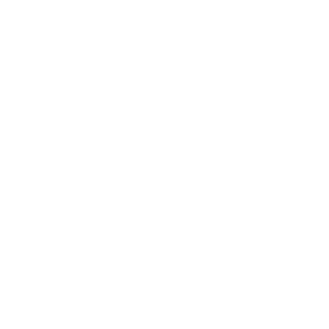 InBev