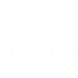 Obolon